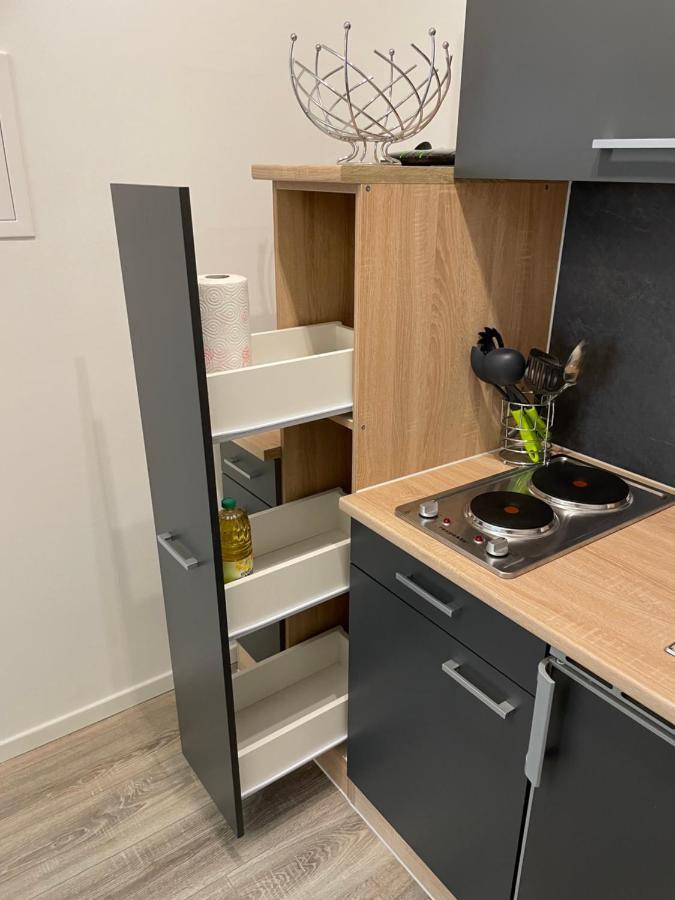 Prime Host Lovely Apartment 卡尔斯鲁厄 外观 照片